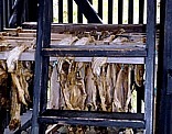 Trockengestell fr Drrfisch