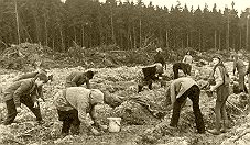 Aufforstungsarbeiten im Wald und Kabelgrben fr die Post ziehen - Schler arbeiten am Vormittag im Lager fr "Erholung und produktive Ttigkeit"