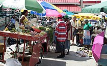 Marktstnde: frohe farben, erheblicher Lrm und umfangreiche Angebote