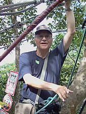 Baumpfad bis in die Kronen des Regenwaldes; trotz guter Absicherung erscheinen die 15 - 25 Meter Höhe ganz bedeutend ...